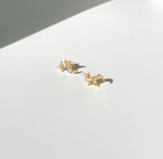 Load image into Gallery viewer, Mou Earrings
